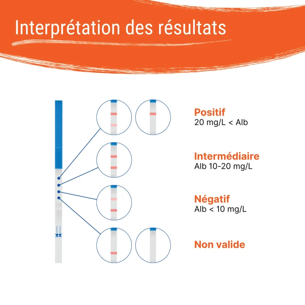 Interprétation des résultats du test d’albumine urinaire – Patris Health